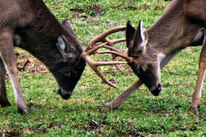 Der Wandel ist ein Dialog