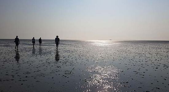 Die REFA-Grundausbildung 4.0