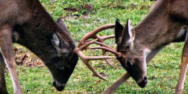 Der Wandel ist ein Dialog