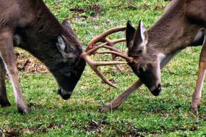 Der Wandel ist ein Dialog